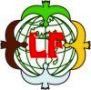 III    